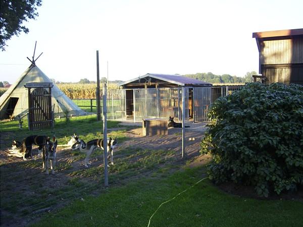 Hundeauslauf in Fuestrup